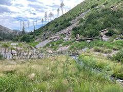 Santa Clara Creek at high elevation after extensive restoration efforts. Santa Clara Creek at high elevation after extensive restoration efforts.